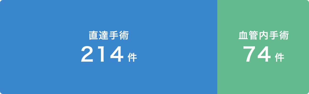 直達手術等214件 血管内術74件